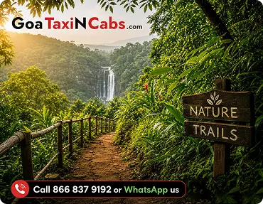 Nature Trails